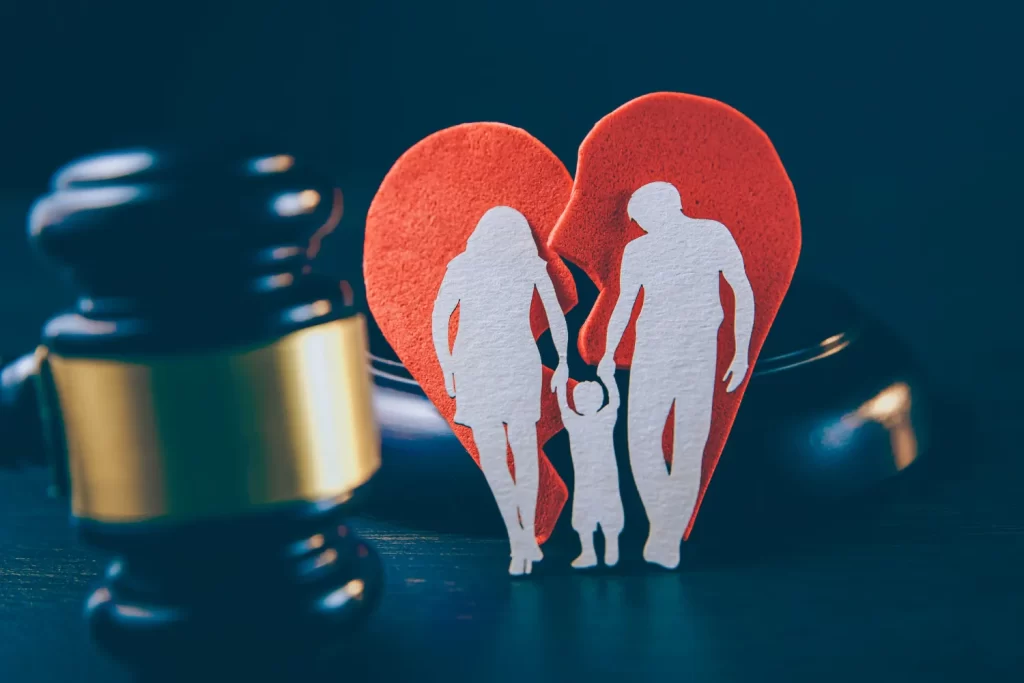 Family Lawyer
