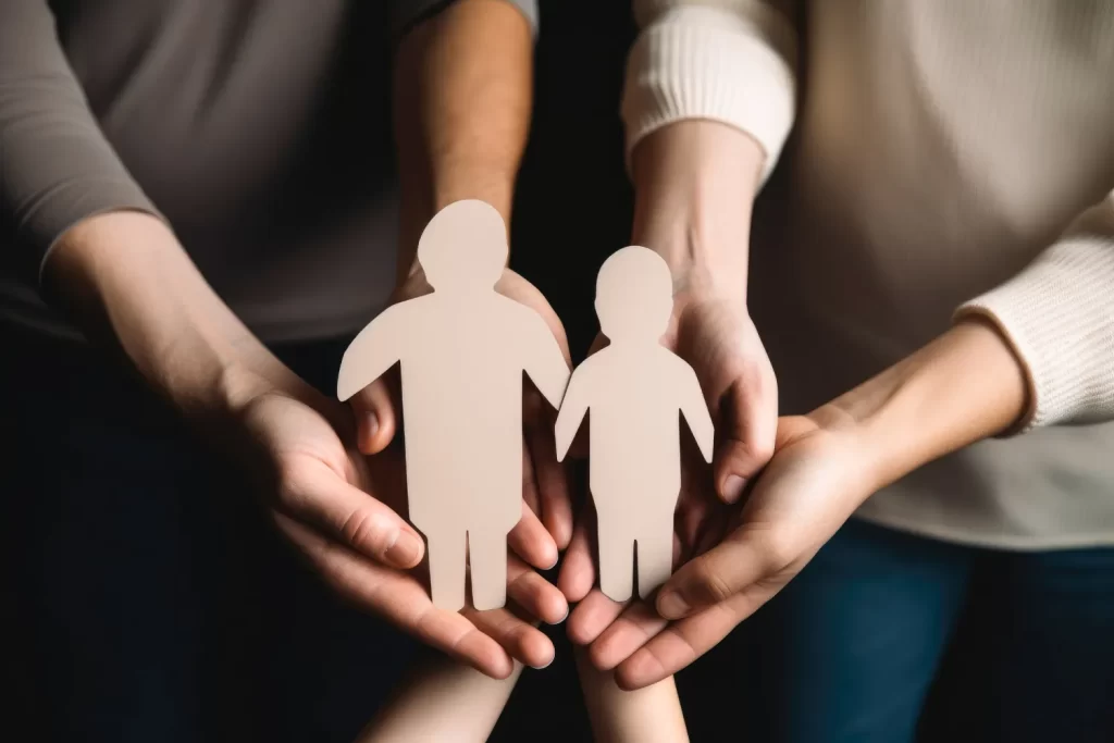 Family Lawyer