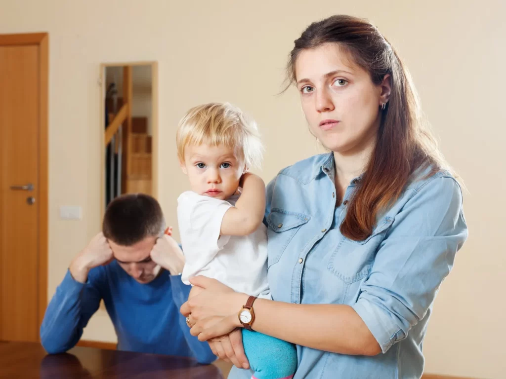 Family Lawyer