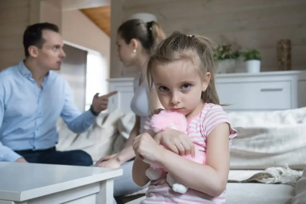 Summerville family law attorney